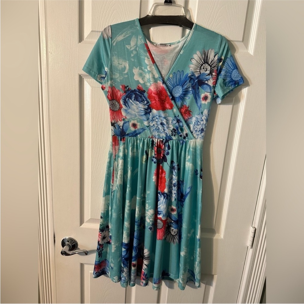 Gubberry Floral V-Neck Short Sleeve Skater Dress - Blue/Red - Size Medium